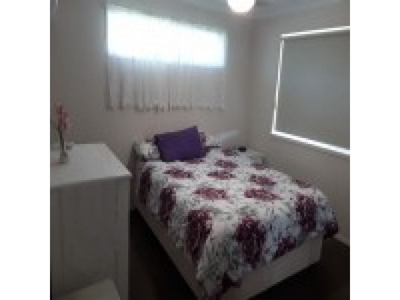 63 Nautilus Drive, Cooloola Cove QLD 4580