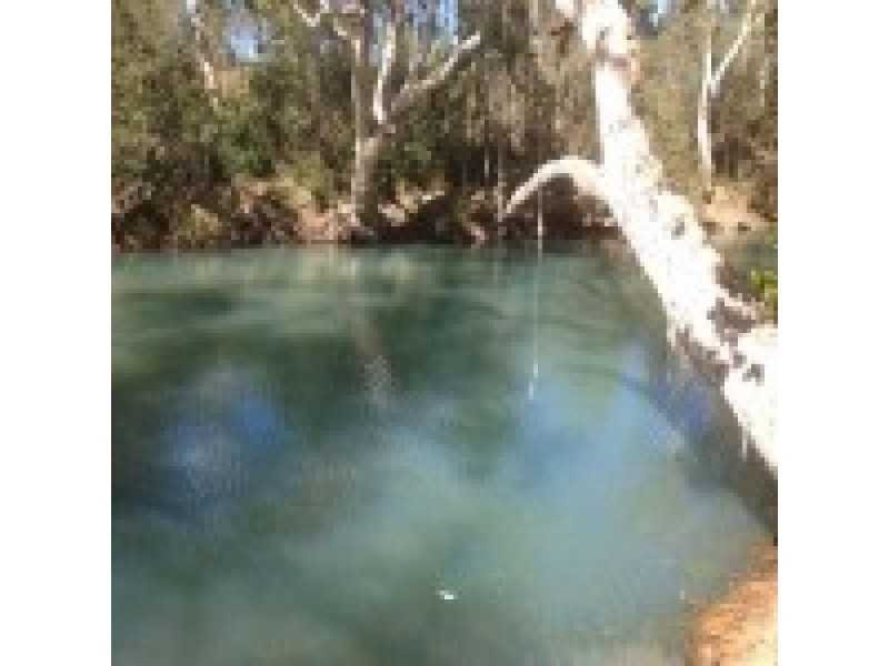 342 Forestry Road, Bluewater Park QLD 4818