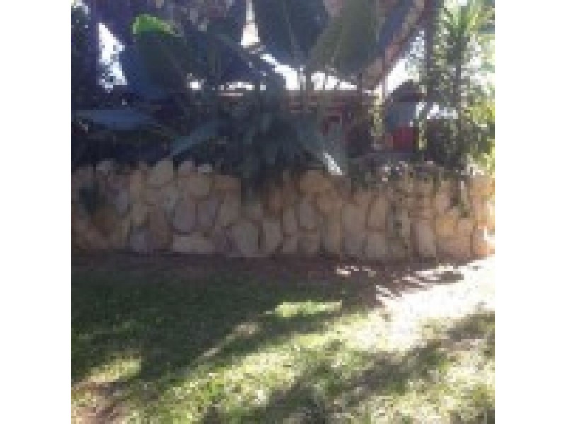 342 Forestry Road, Bluewater Park QLD 4818