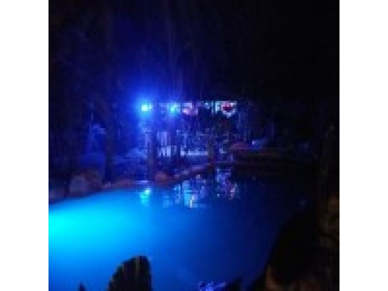 342 Forestry Road, Bluewater Park QLD 4818