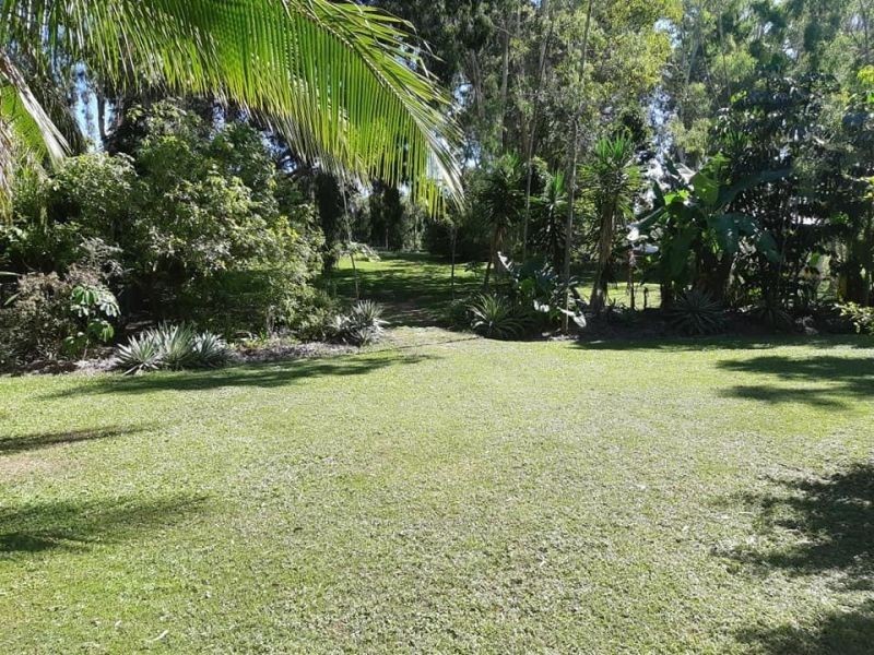 342 Forestry Road, Bluewater Park QLD 4818
