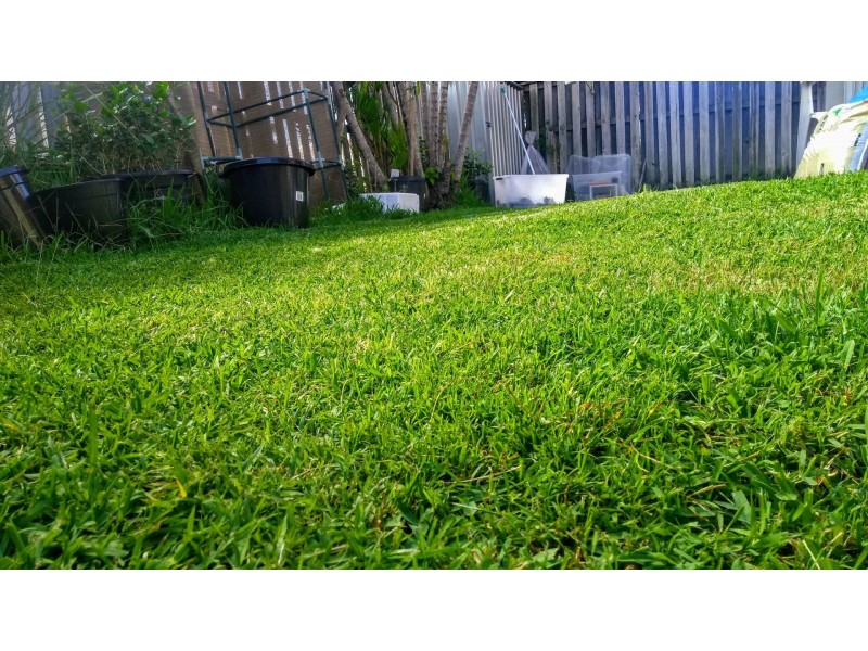 29/538 Warrigal Road, Eight Mile Plains QLD 4113