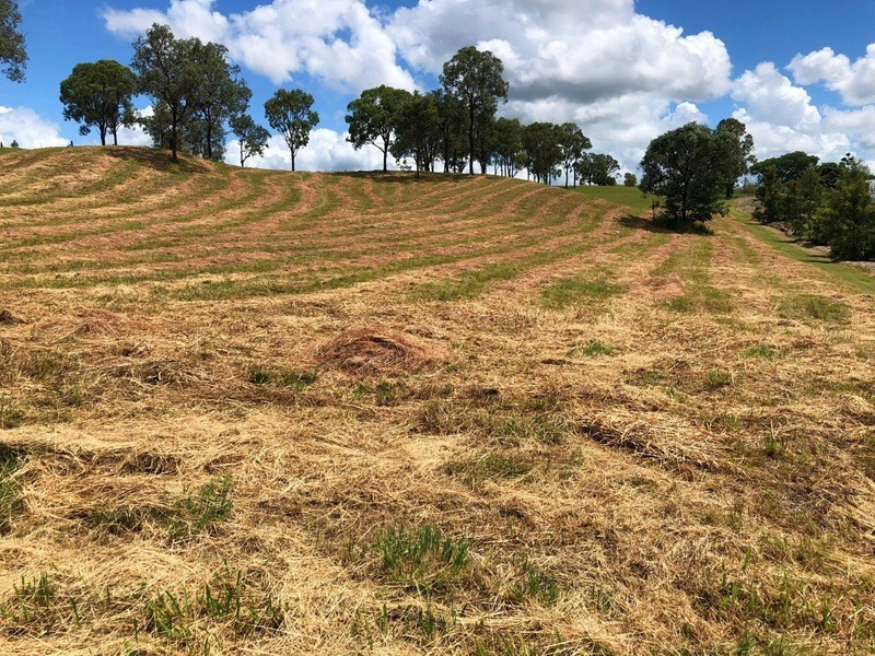 9 Leddy Court, Moffatdale QLD 4605