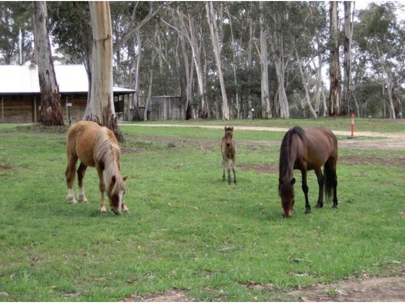 230 Bradleys Drive, Nurenmerenmong NSW 2649