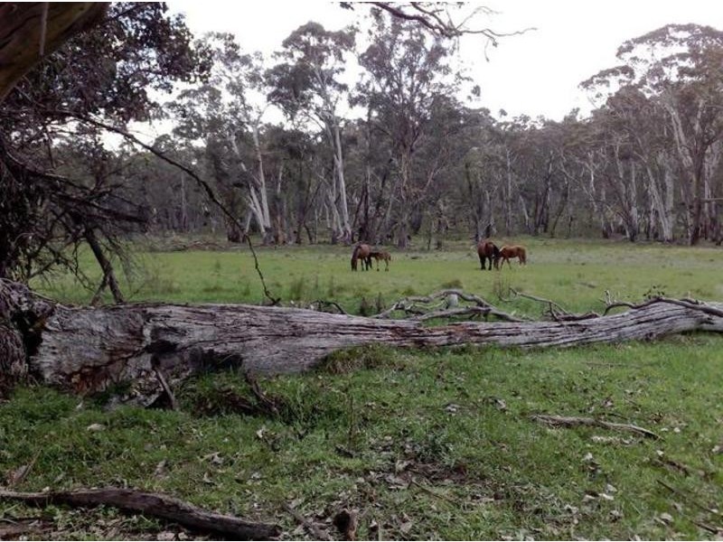 230 Bradleys Drive, Nurenmerenmong NSW 2649