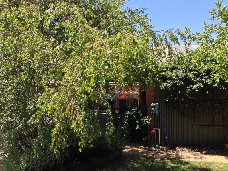 9 Gresham Court, Golden Square VIC 3555