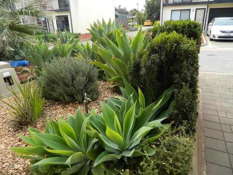 2/271 Martins Road, Parafield Gardens SA 5107