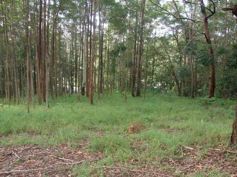 46 Stewart Court, Doonan QLD 4562