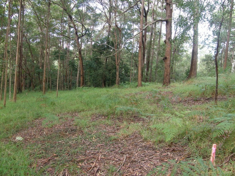 46 Stewart Court, Doonan QLD 4562