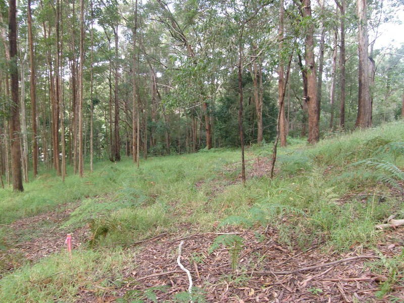 46 Stewart Court, Doonan QLD 4562