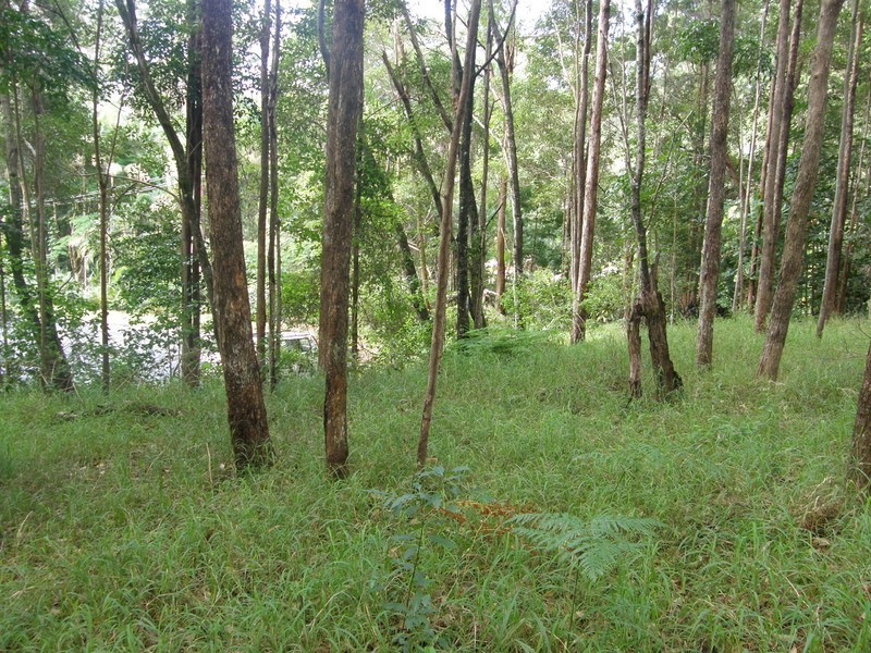 46 Stewart Court, Doonan QLD 4562