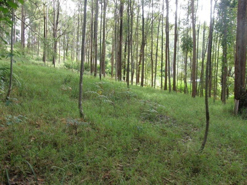 46 Stewart Court, Doonan QLD 4562