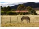 73 Greens Road, Orielton TAS 7172