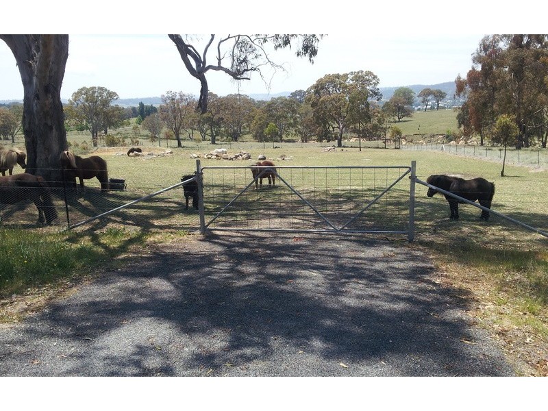 Lot 3 Neagles Lane, Tenterfield NSW 2372