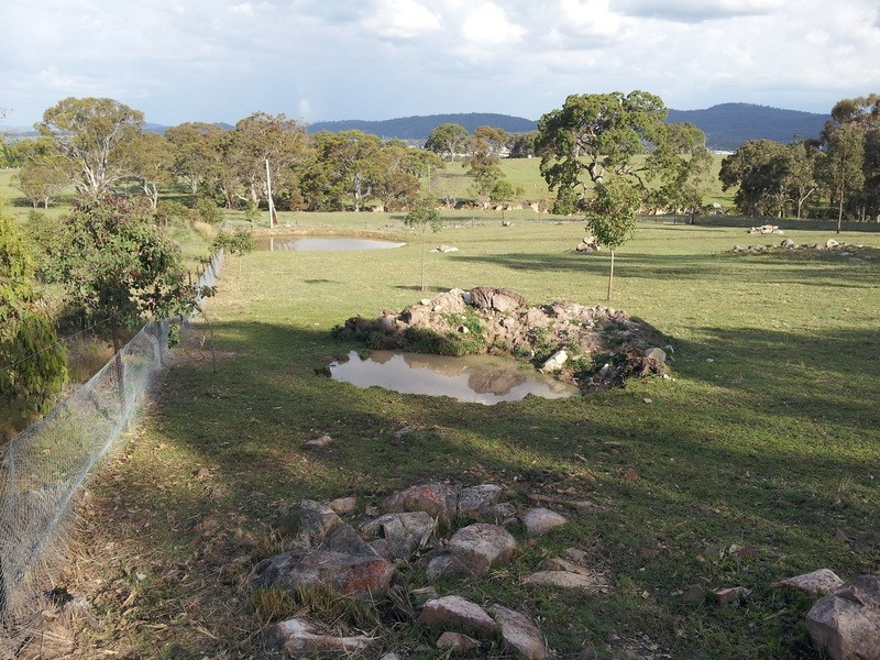 Lot 3 Neagles Lane, Tenterfield NSW 2372