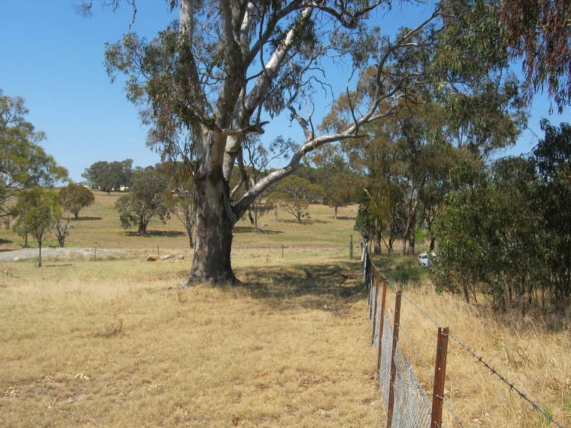 Lot 3 Neagles Lane, Tenterfield NSW 2372
