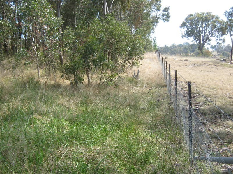 Lot 3 Neagles Lane, Tenterfield NSW 2372