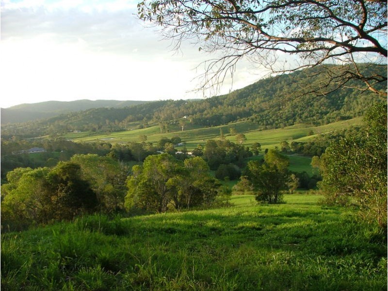 Cedar Creek QLD 4207