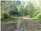 Cedar Creek QLD 4207