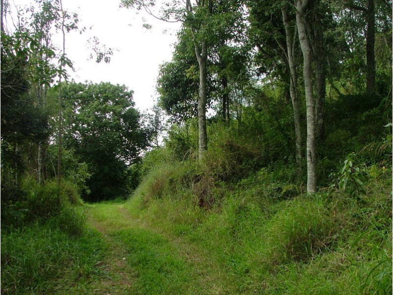 Cedar Creek QLD 4207