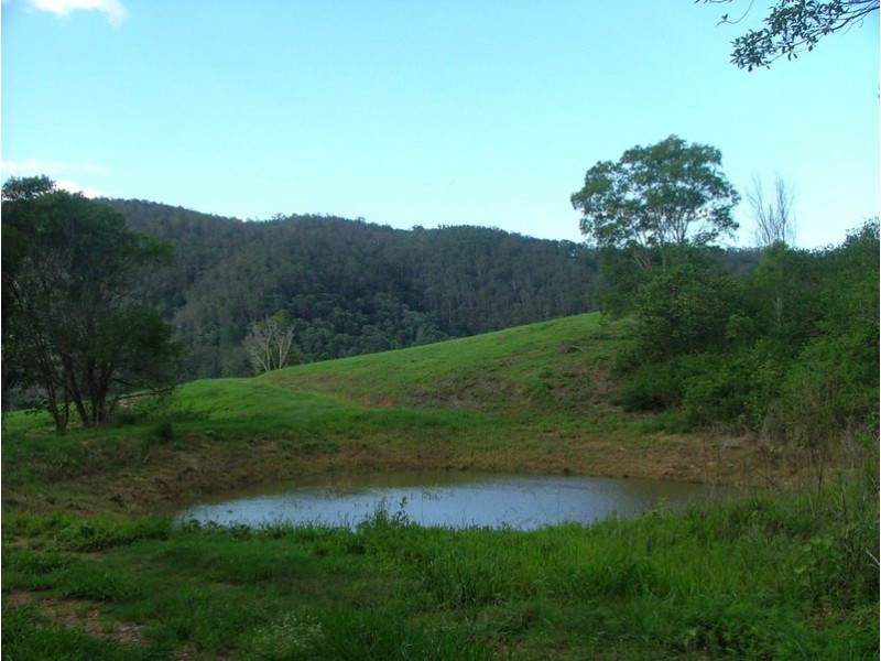 Cedar Creek QLD 4207