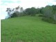 Cedar Creek QLD 4207