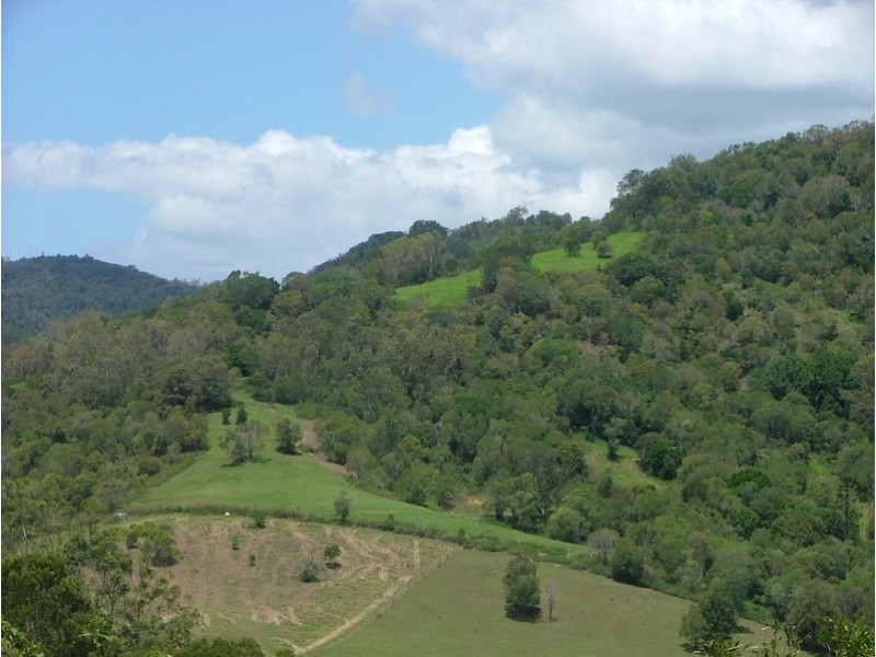 Cedar Creek QLD 4207