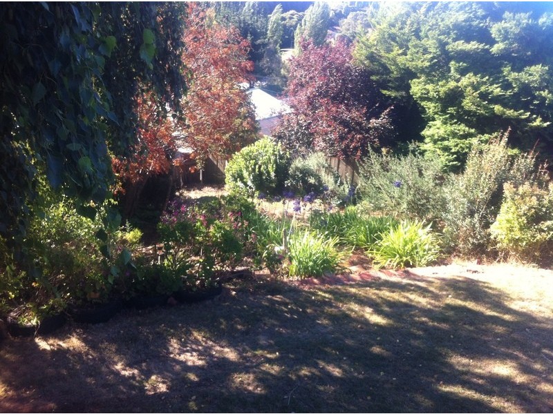 24 ELIZABETH STREET, Penguin TAS 7316