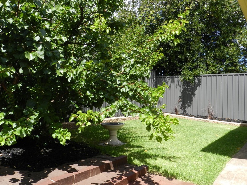 7/35  Catherine Street, Clapham SA 5062