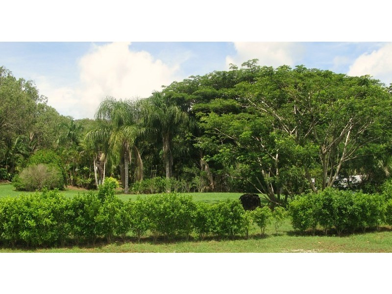 6 Heathwood Court, Hampden QLD 4741