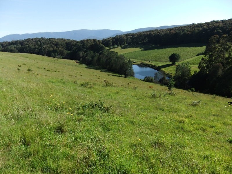 Gladysdale VIC 3797