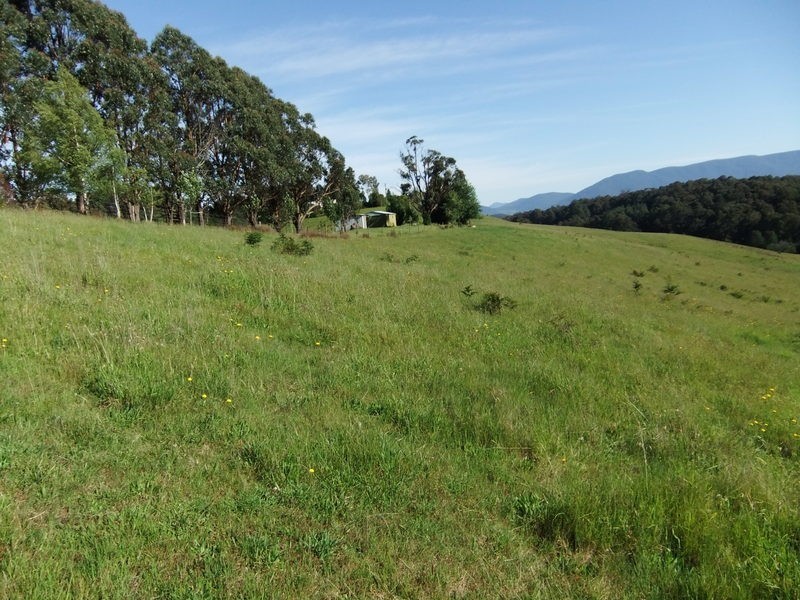 Gladysdale VIC 3797