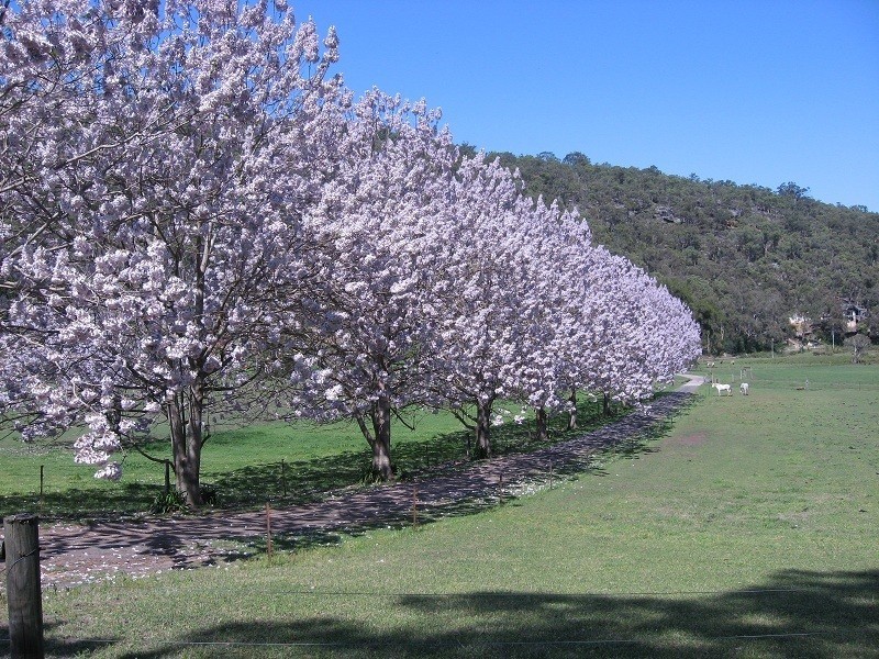 1928 Putty Road, Colo NSW 2756