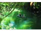 Port Douglas QLD 4877