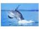 Hervey Bay QLD 4655