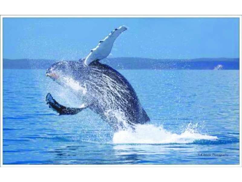 Hervey Bay QLD 4655