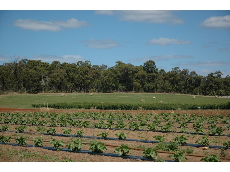 3192 Irishtown Road, Donnybrook WA 6239