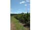 3192 Irishtown Road, Donnybrook WA 6239