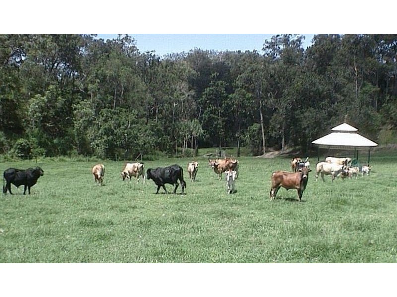 Mount Martin QLD 4754