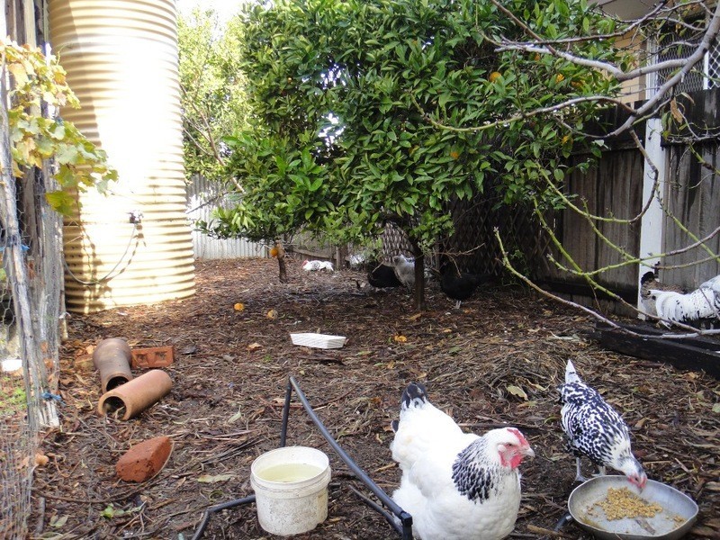 136 Anzac Tce, Bassendean WA 6054