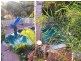 2/30  Shorthorn crescent, Tamborine QLD 4270