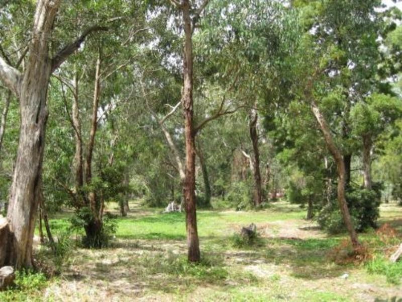 49A BADGER CREEK ROAD, Healesville VIC 3777