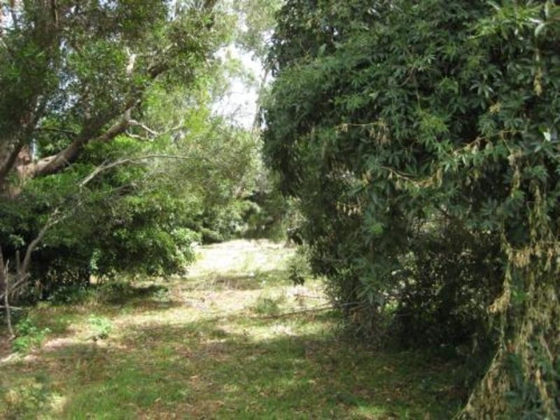 49A BADGER CREEK ROAD, Healesville VIC 3777