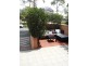 108/5 Stromboli Strait, Wentworth Point NSW 2127