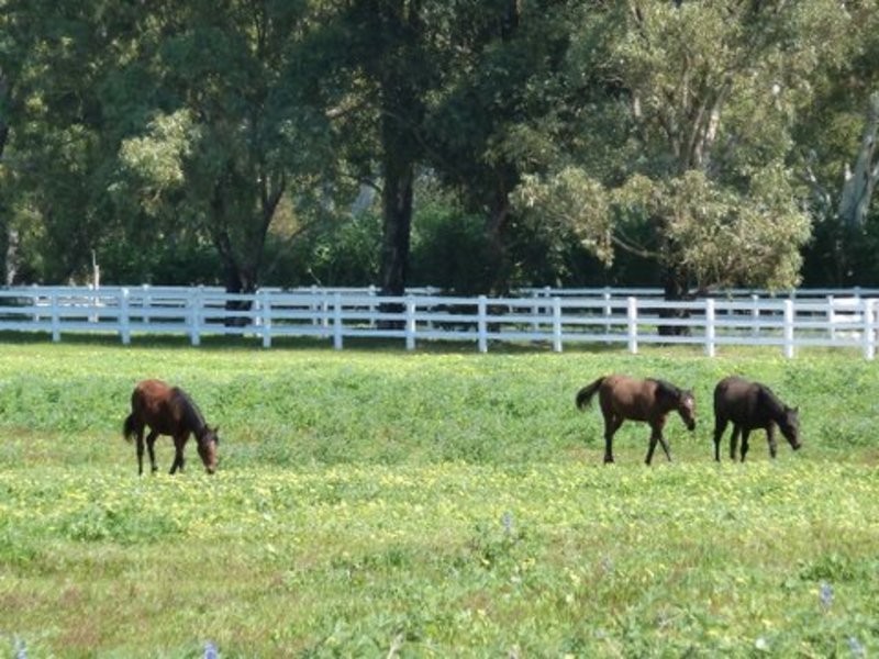 266 Morgan Rd, Meelon WA 6208