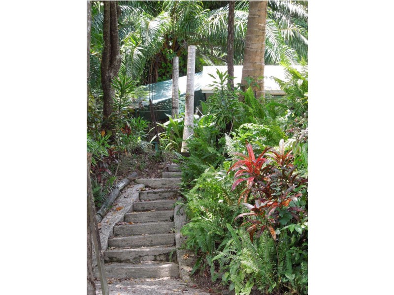 4 Gorgeview Crescent, Mossman Gorge QLD 4873