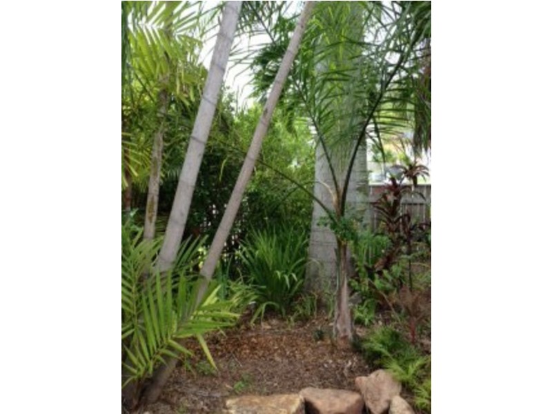 16 Sheehan Street, Belgian Gardens QLD 4810