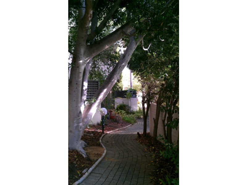 K15/45 King George Street, Victoria Park WA 6100