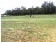 332 Maine Anjou Drive, Lower Chittering WA 6084