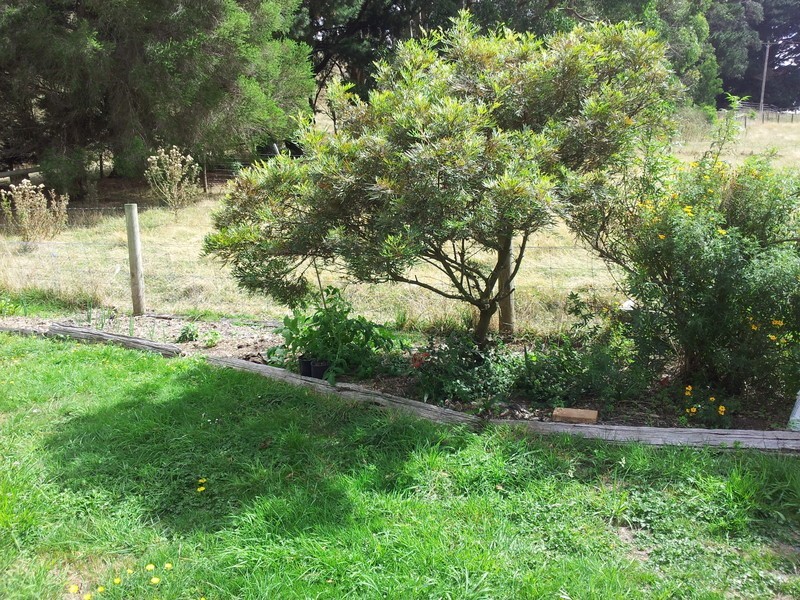 Toora North VIC 3962